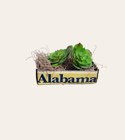 Alabama License Plate Dish